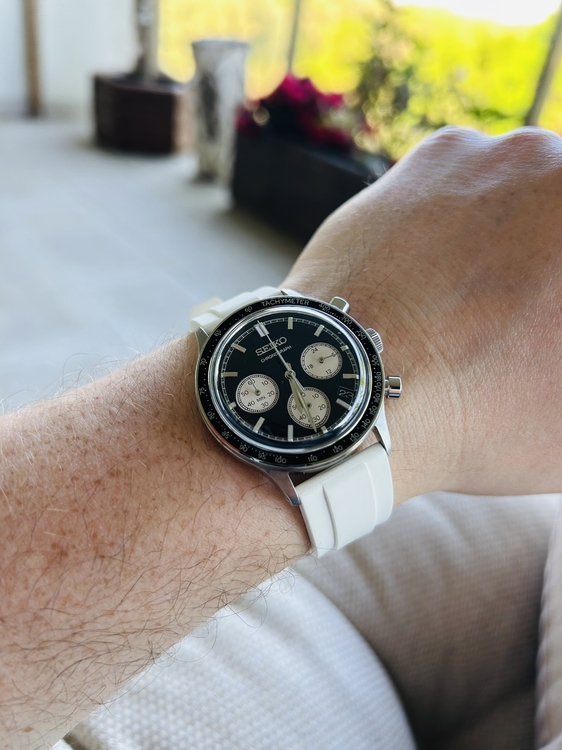IMG_1264.jpeg