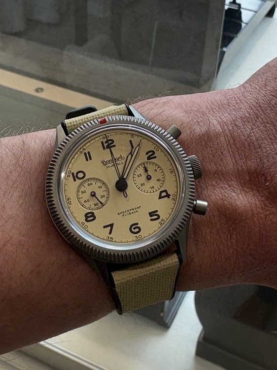 IMG_1867.jpeg