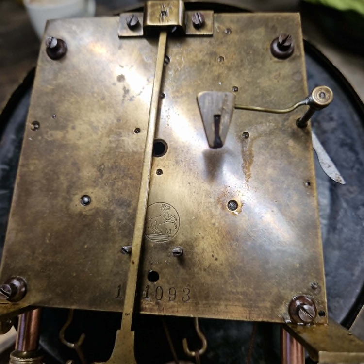 ac9120fe-a929-41a5-ad01-bef30b3c1421.jpg