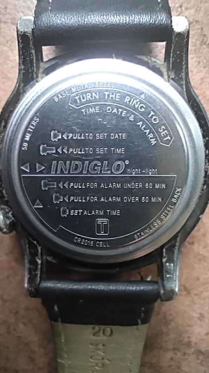 1752188675_TimexShenmuedekiel.thumb.jpg.dd08dc568eae54520b913b076edb20cb.jpg