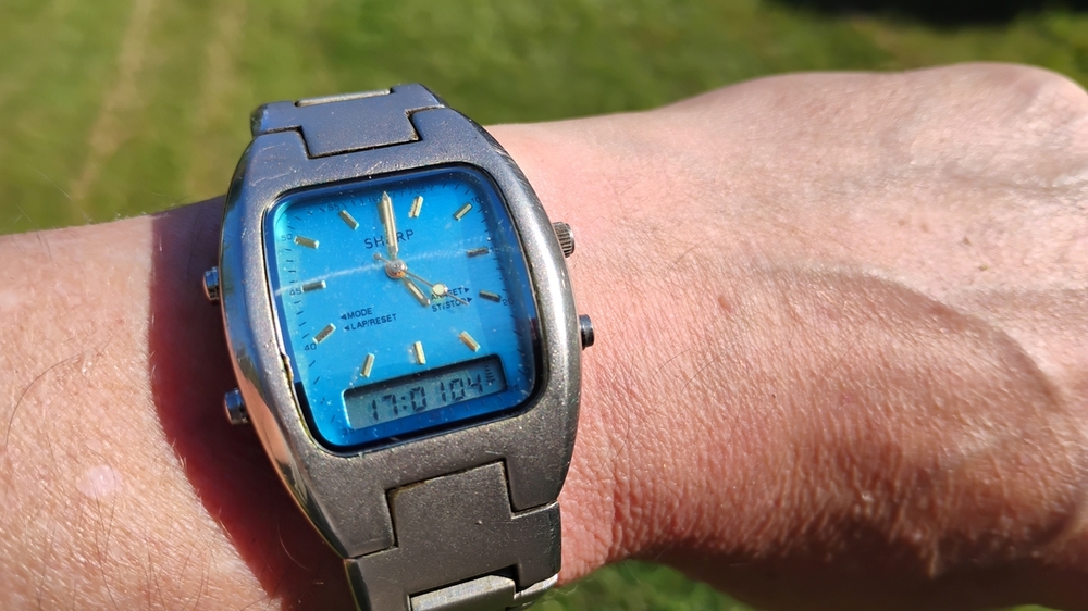 1907718025_Ostryblue2.thumb.jpg.d44ec65c0352448511161fee43f0feff.jpg
