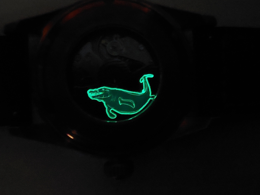 20250129_092116.jpg