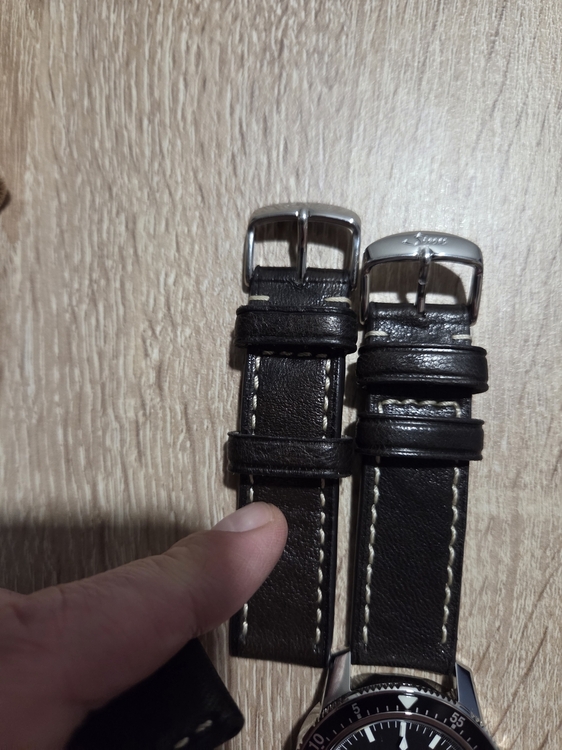 20260608_102900.thumb.jpg.f2bf4b998de3c9d586327d4c63c93704.jpg