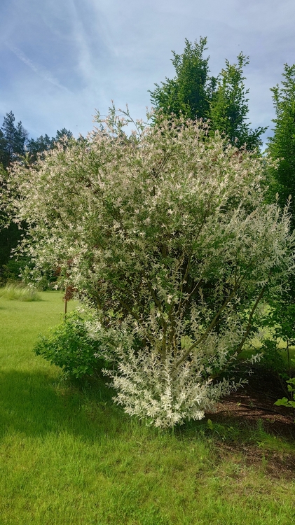 20260621_083740.JPG