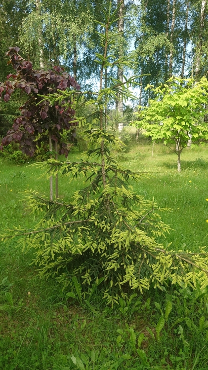 20260621_084159.JPG