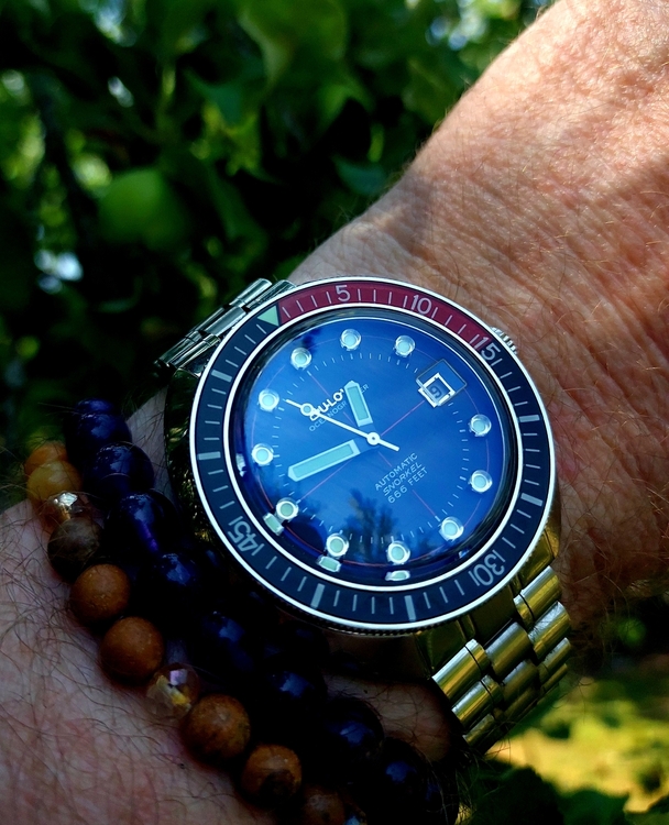 20260629_124714.thumb.jpg.00bb00c25ef556821dfda18c40da618b.jpg