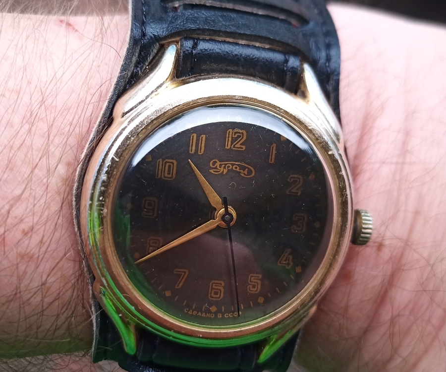 78696098-.jpg