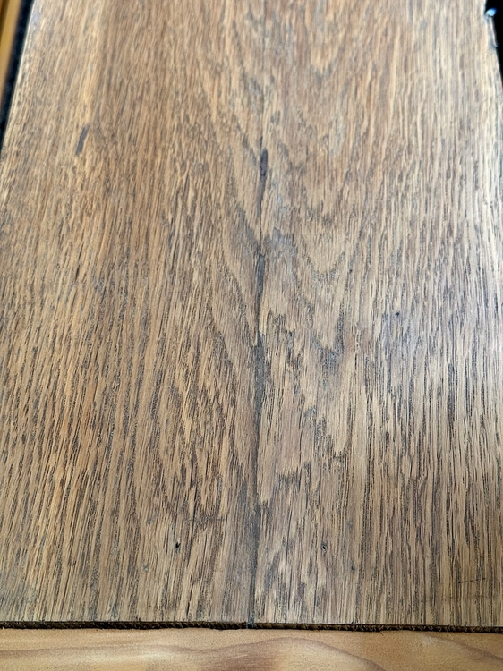 IMG_0183.thumb.jpeg.83c74b95ca92459d78dd0fa28d3a050e.jpeg