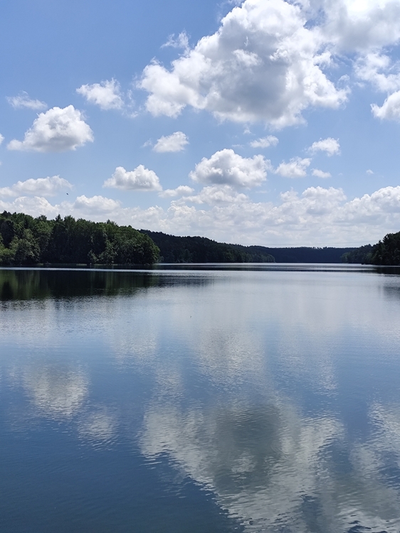 IMG_20260606_123849.jpg
