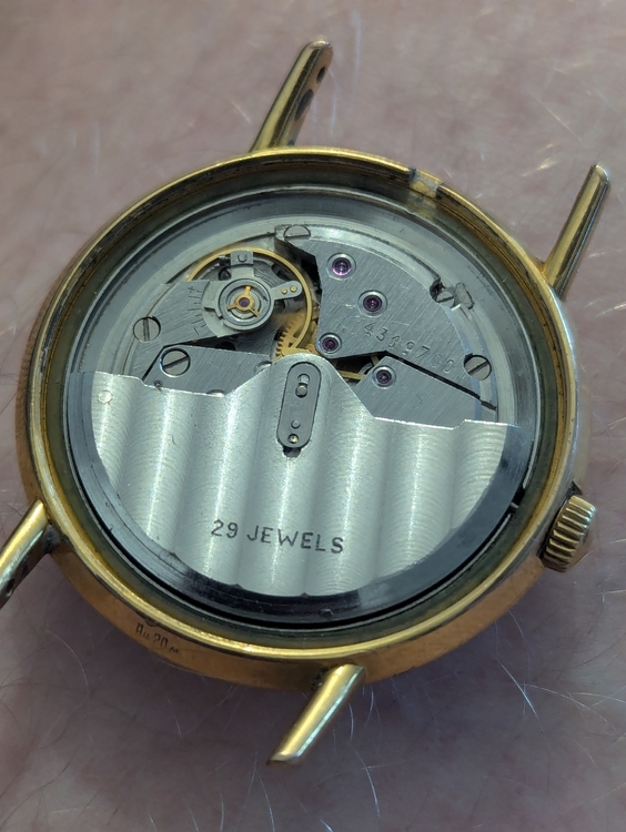 PXL_20260617_162503000.jpg