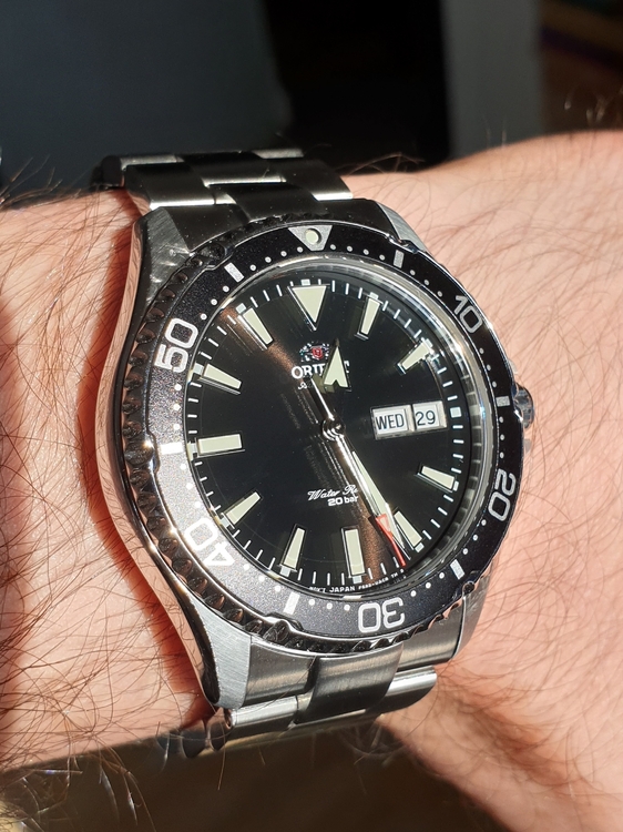 20210929_122620.thumb.jpg.436dc33ac7d9c9b4b163c79062a55b29.jpg