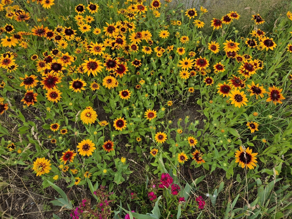 20260704_131433.jpg