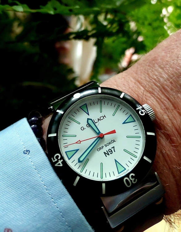 20260710_114153.thumb.jpg.9b520007ee431d30a6f0eafae699bb93.jpg