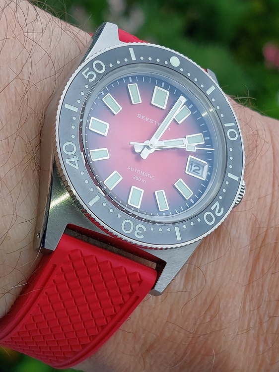 20260712_140310.jpg