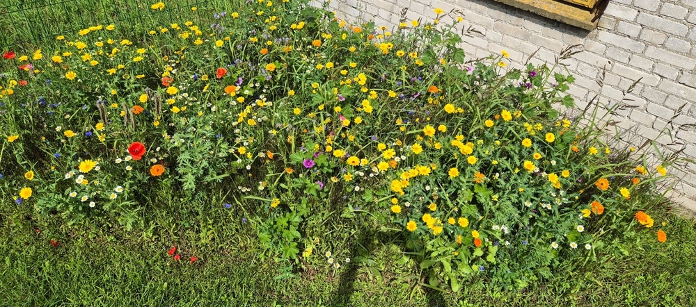 20260725_102604.jpg