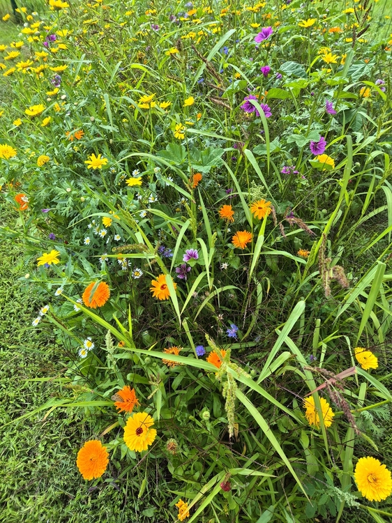 20260725_142354.jpg