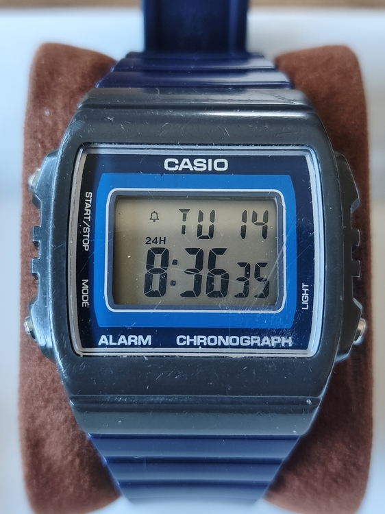 50 CASIO W-215H-8A.jpg