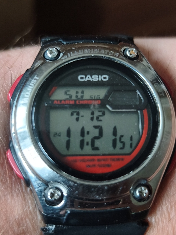 55 CASIO W-211-1BVES.jpg