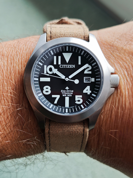7056.jpg