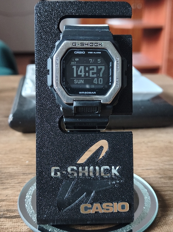 14 CASIO GBX-100NS-1.jpg