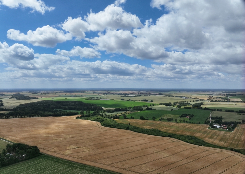 DJI_20260703113009_0001_V.jpeg