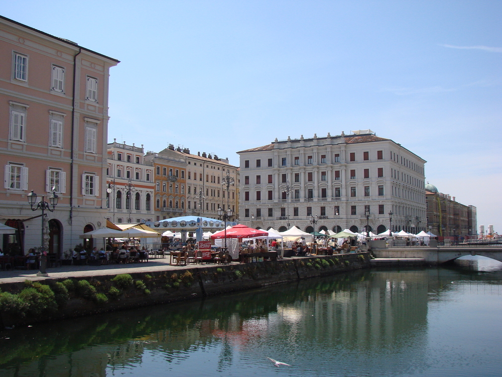 DSC01730.thumb.JPG.e9c0c8b643eb4b666476f990b788efeb.JPG