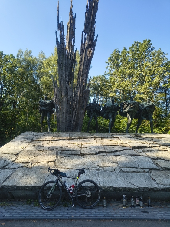 IMG_20260731_084118166_HDR.jpg