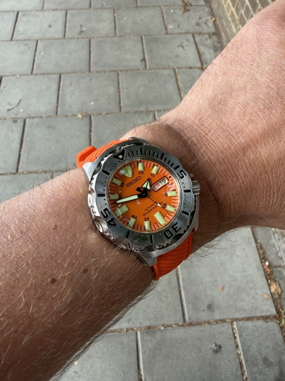 IMG_7030.jpeg