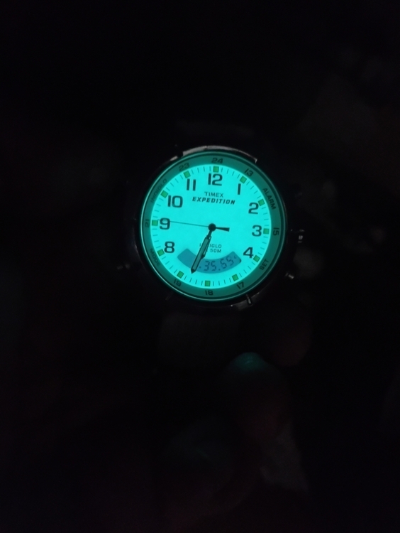 169855819_TimexExpeditionMetalComboT44642INDIGLO.thumb.jpg.b57da5533d8f3bd6d7c6024eb3c86133.jpg