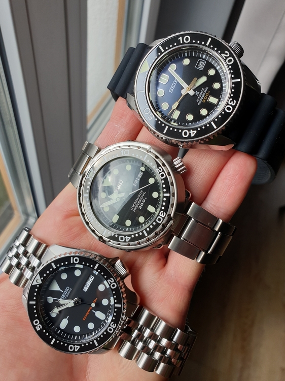 20210924_105104.thumb.jpg.f45401e4233b45792cecfa3f3dce19ef.jpg
