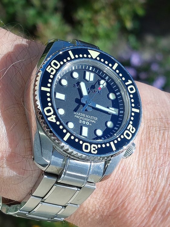 20241001_111625.jpg