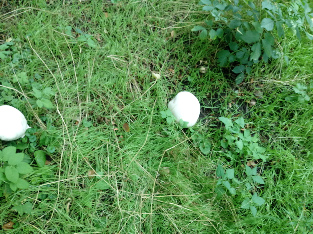 20260801_114159.jpg