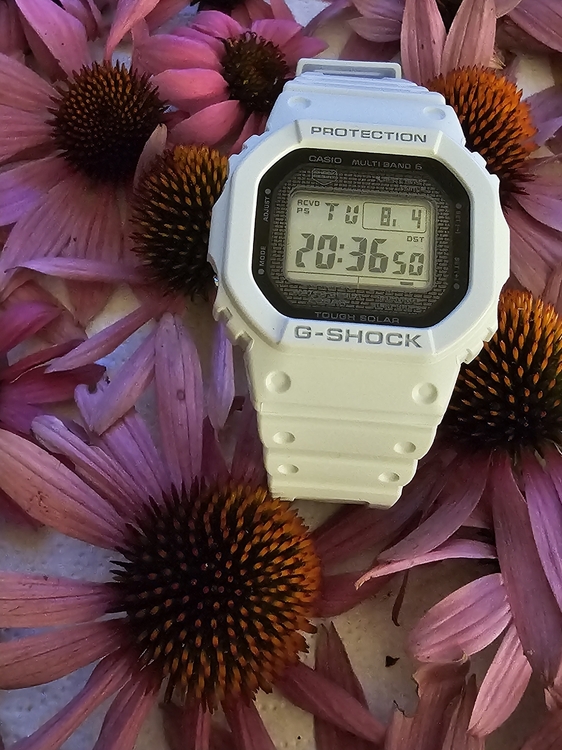 20260804_203650.jpg