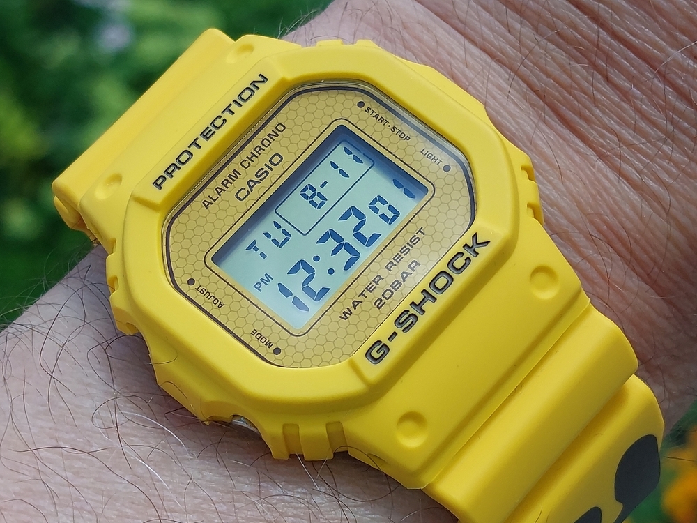 20260811_123217.jpg