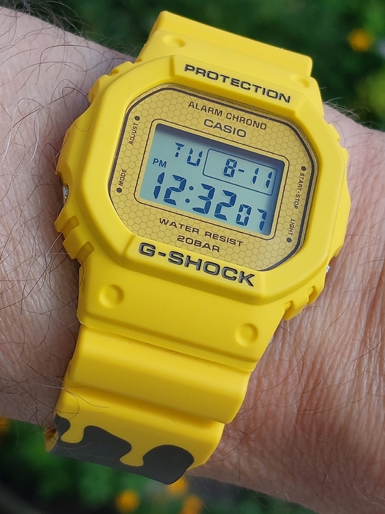 20260811_123224.jpg