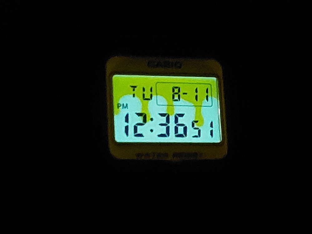 20260811_123706.jpg