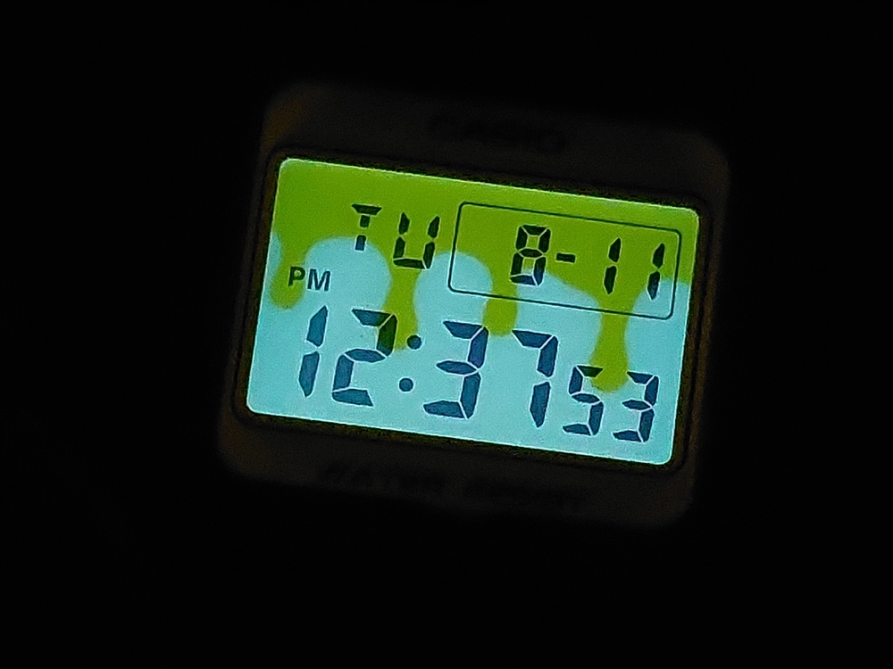 20260811_123810.jpg