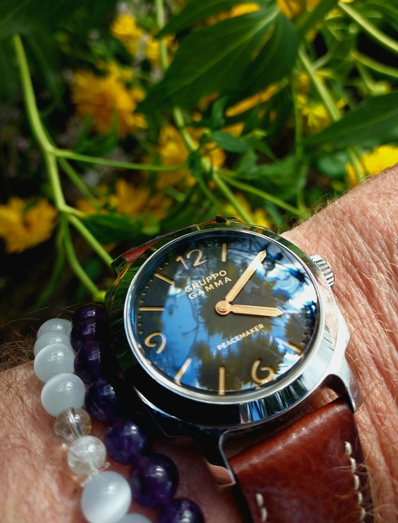 20260812_161048.thumb.jpg.b0f0142e49f2ef7e29070265957cf197.jpg