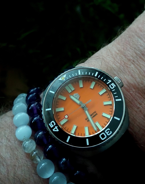 20260816_113209.thumb.jpg.0e421b76341af3163bf8158b9bfa2270.jpg