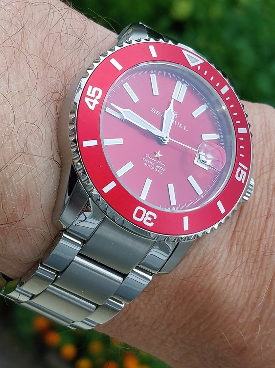 20260819_114609.jpg