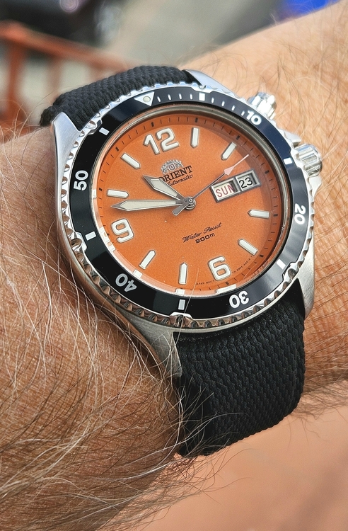 20260823_104821.thumb.jpg.257fa19b2c7db26d2a57b5ea2e95f576.jpg
