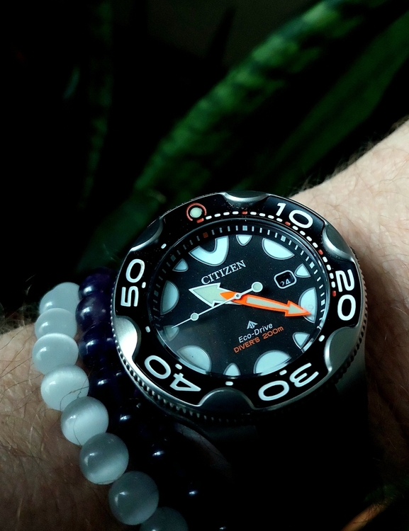 20260824_102125.thumb.jpg.dcad2b3d4539ff69a7ada24ff9f4c816.jpg