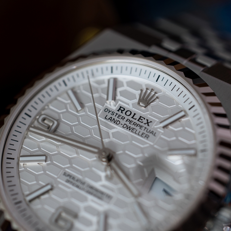 IMG_7921 6000 x 4000 Full.jpg