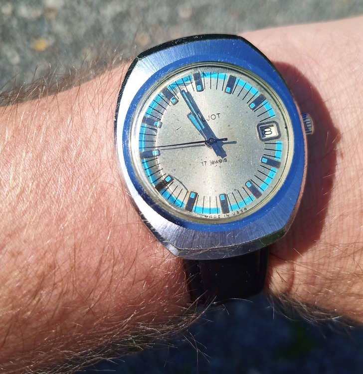 7568678.jpg