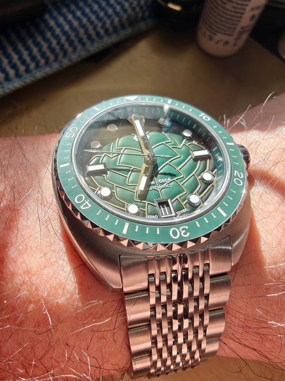 IMG20260813175923.jpg