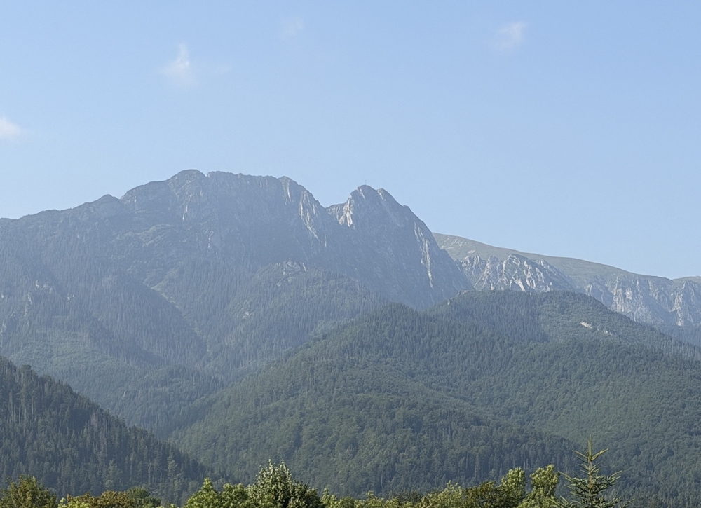 IMG_1960.jpeg