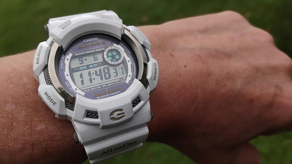 1335847658_DElfinUM02.thumb.jpg.eade6cb2a4c54855c9d950eeb2274fe9.jpg