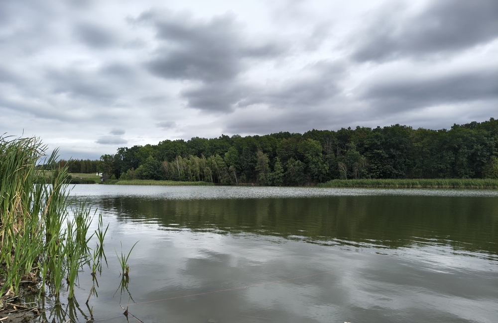 IMG_20260904_112624037_HDR~2.jpg
