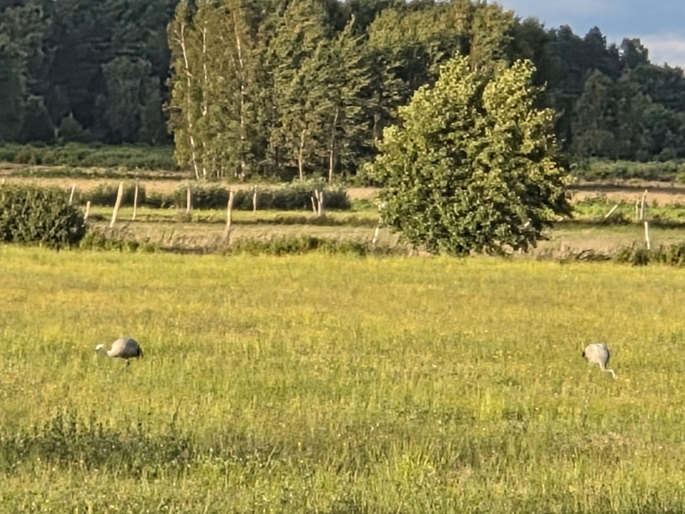 20260901_184040.jpg