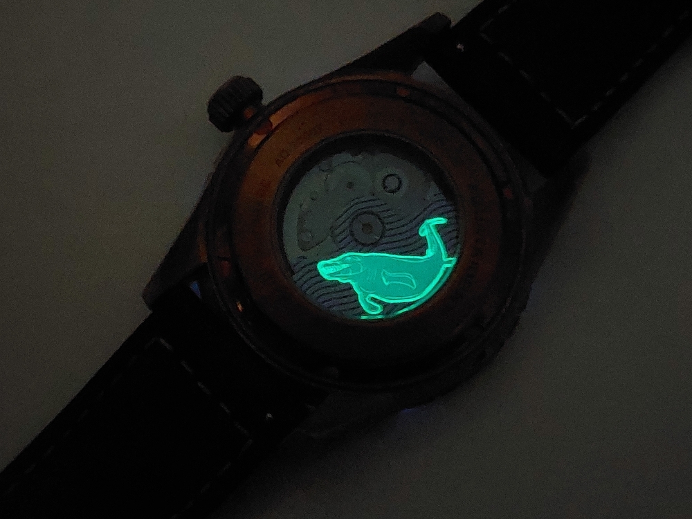 20260902_101633.jpg